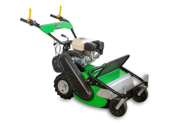 TTR 560